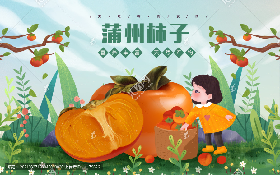 蒲州柿子女孩包裝插畫