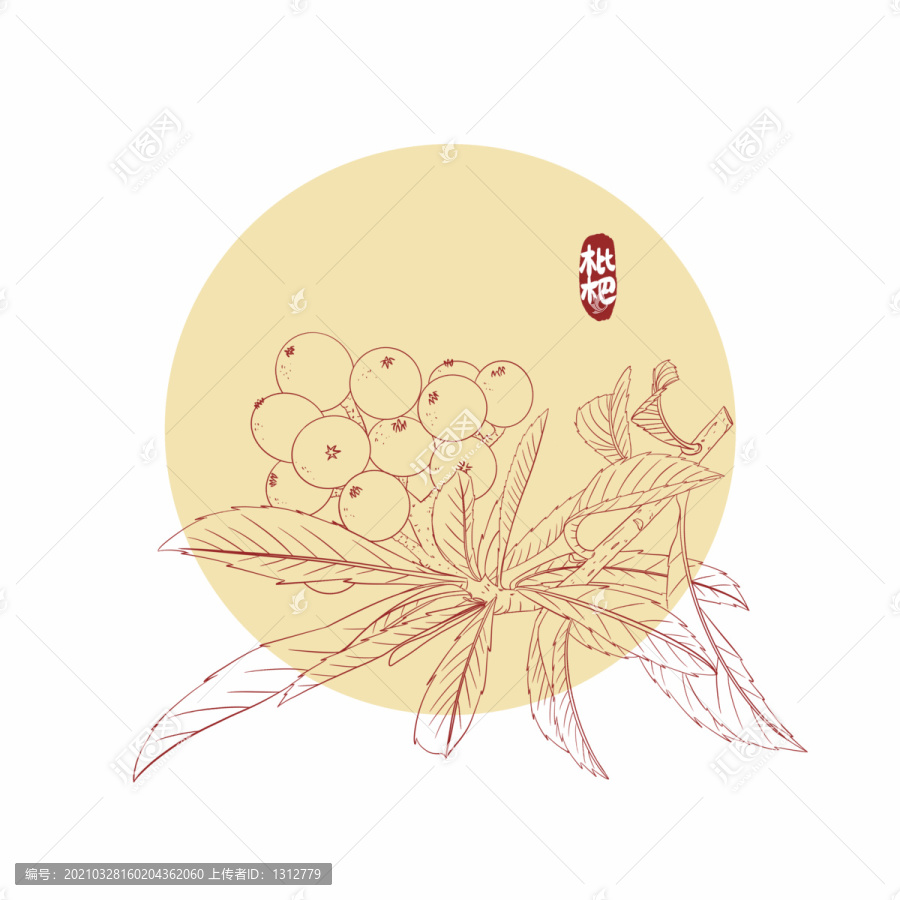 枇杷水果手繪插畫元素
