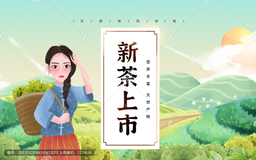 新茶上市采茶女插畫