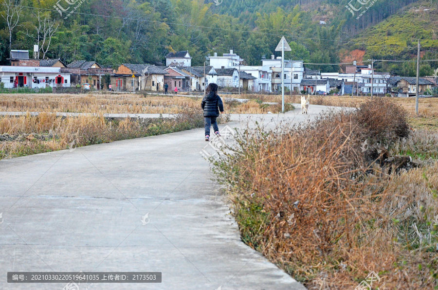 乡村道路