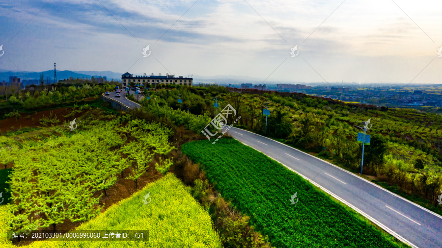 田间公路