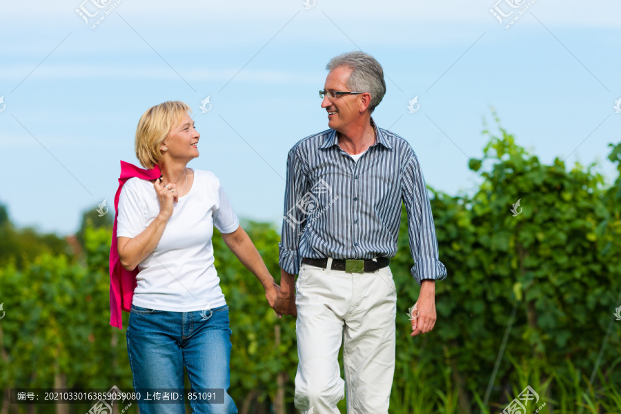 明显快乐的成年或老年夫妇在户外手牵手散步