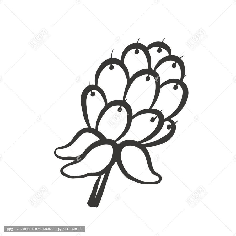 博森莓矢量簡筆畫