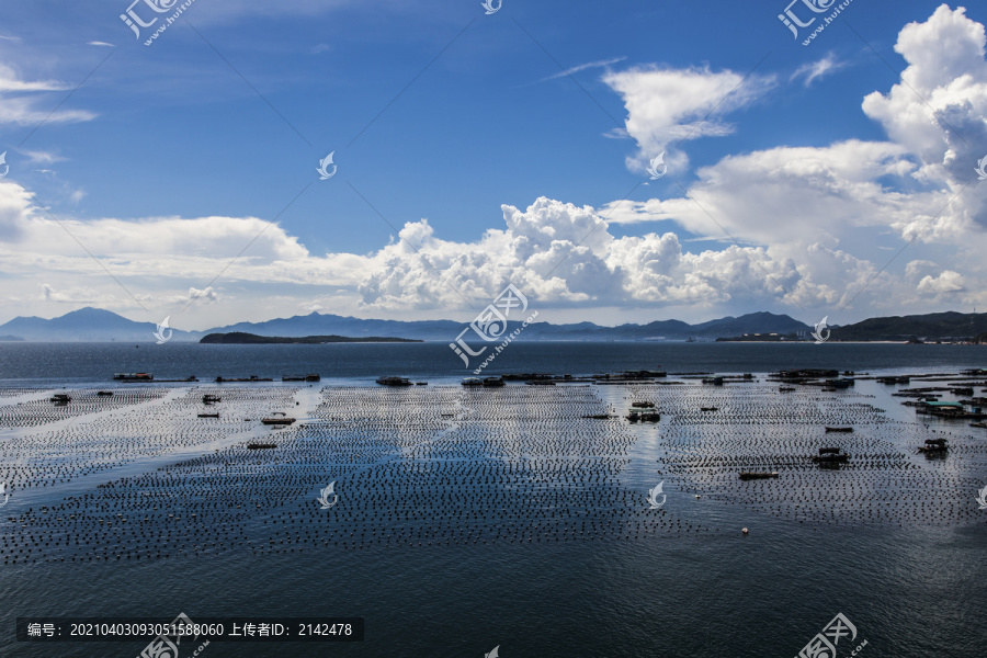 深圳大鹏南澳水产海鲜养殖基地