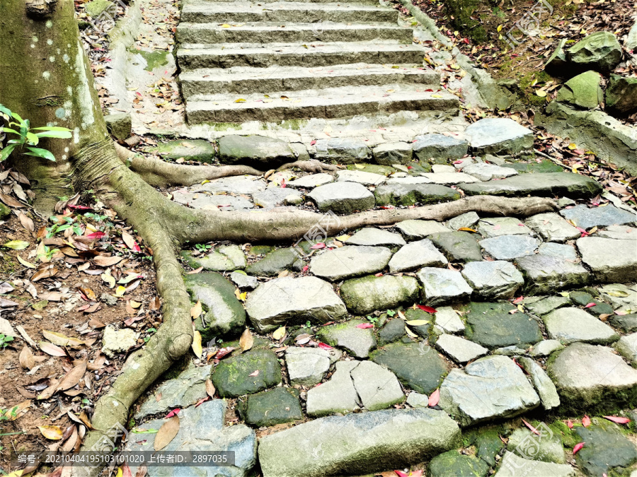 石板登山道