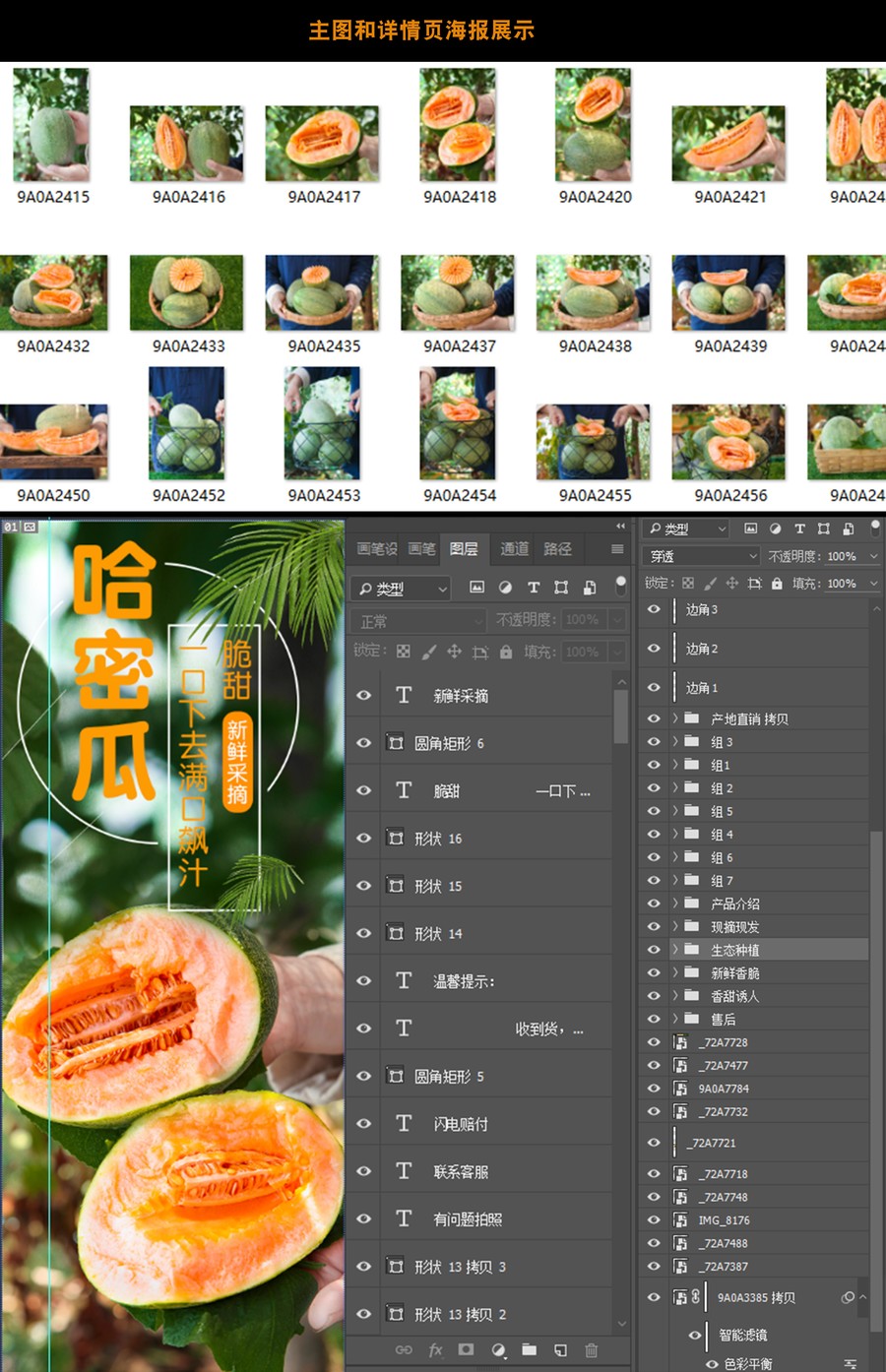 哈密瓜詳情