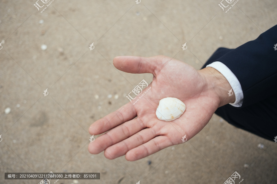沙滩上男人手上白色贝壳的剪影。