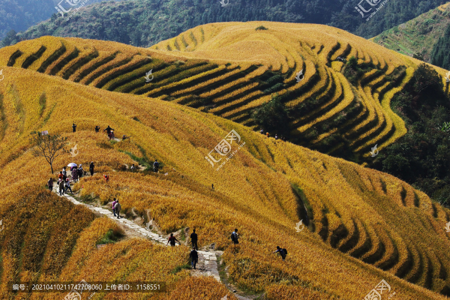 游秋景