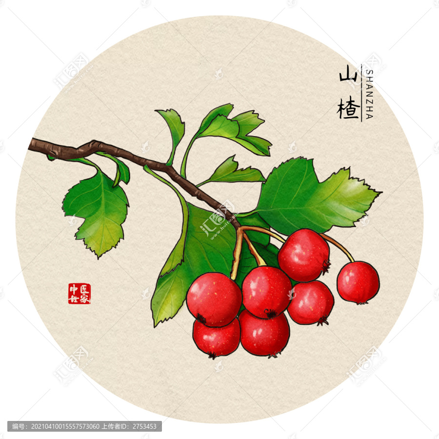 手繪山楂