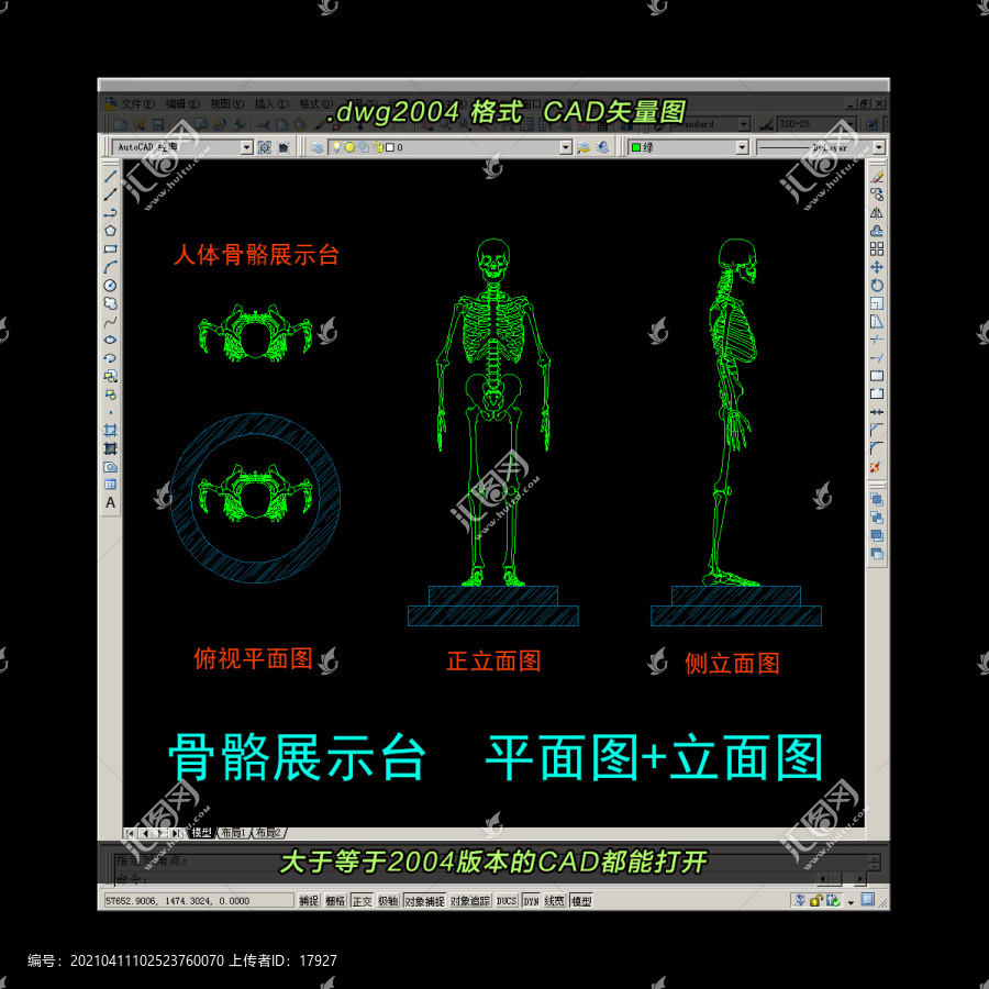 人體骨骼CAD平面圖立面圖