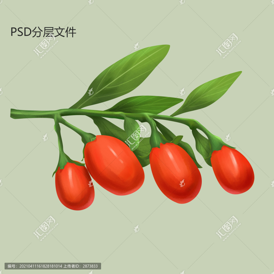 插畫枸杞