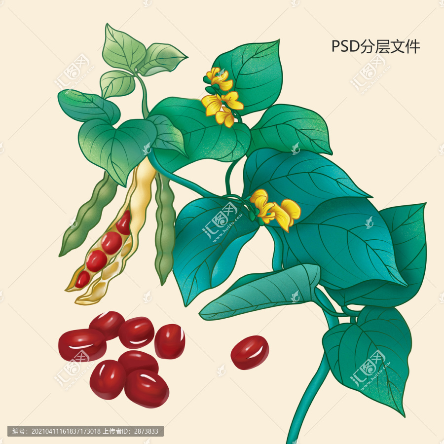 插畫紅豆