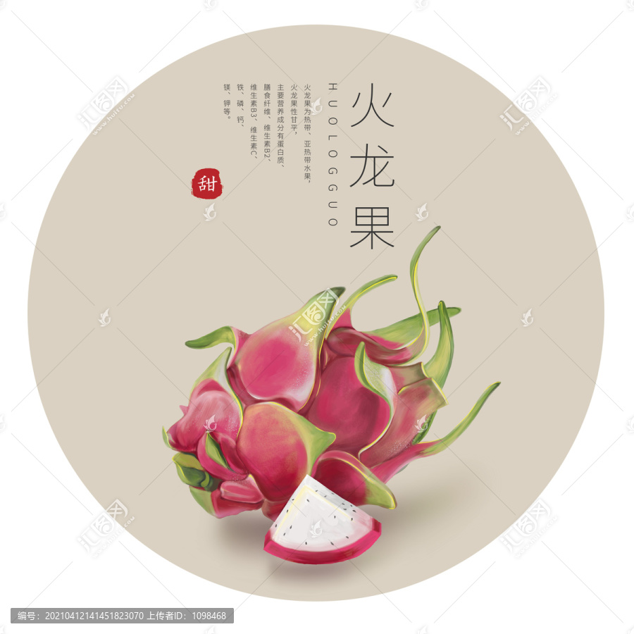 火龍果插畫