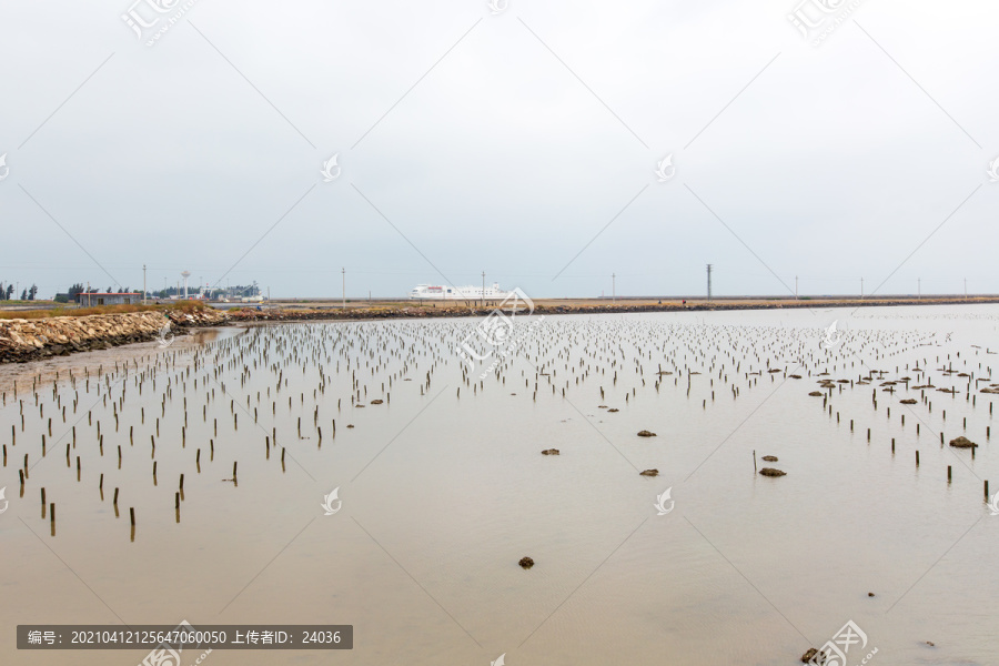 广东湛江市徐闻县炮台角海边