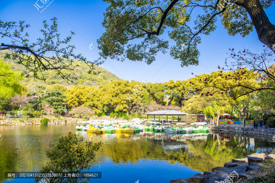 园林风景