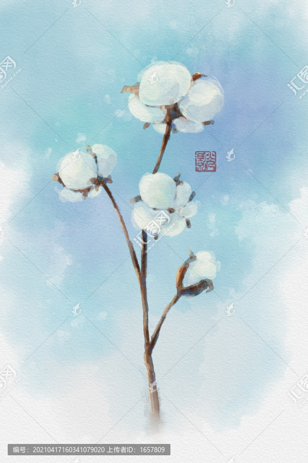 水彩棉花
