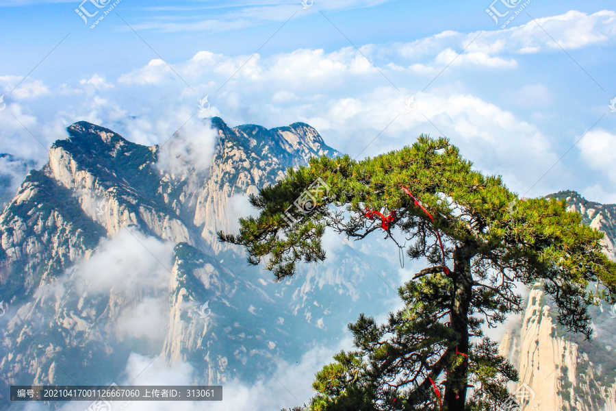 西岳华山