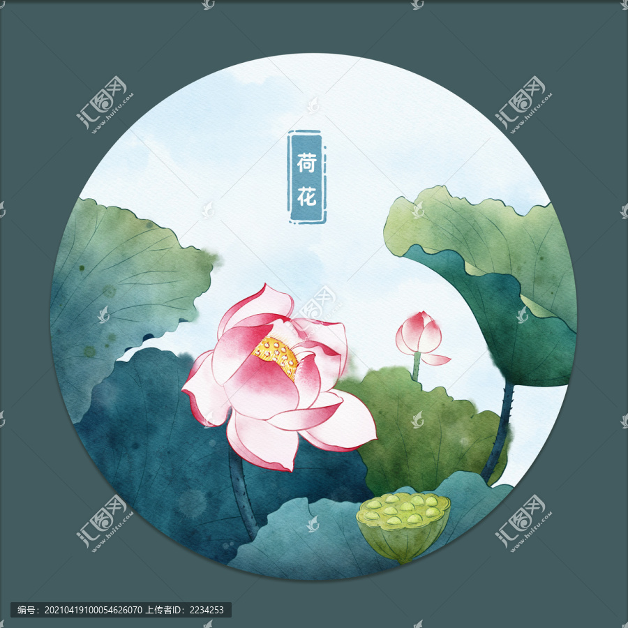 荷花