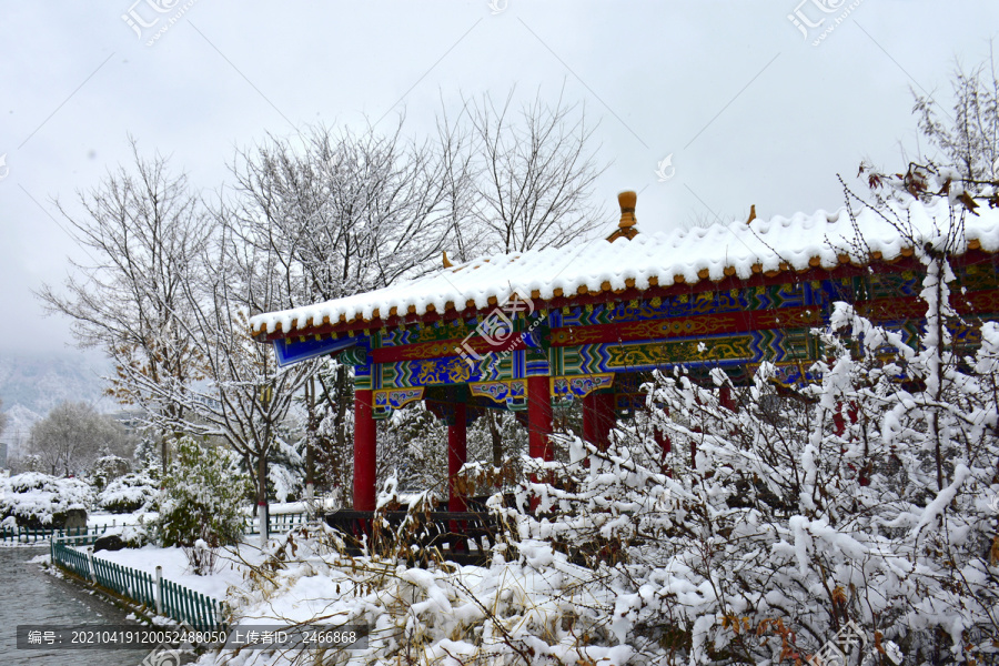 公园雪景