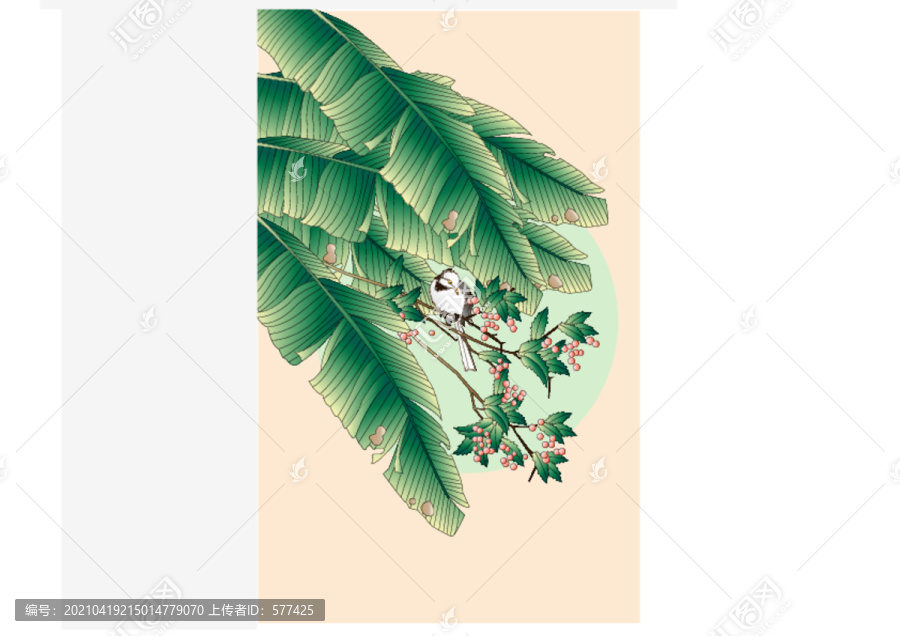 芭蕉葉