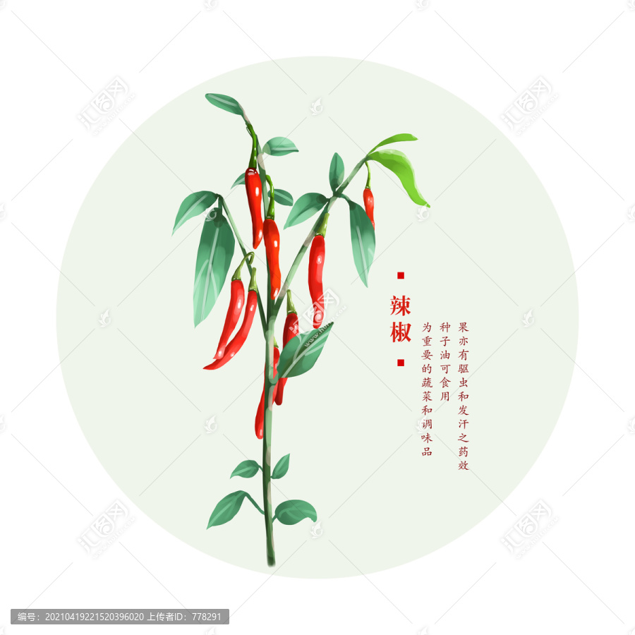 紅辣椒