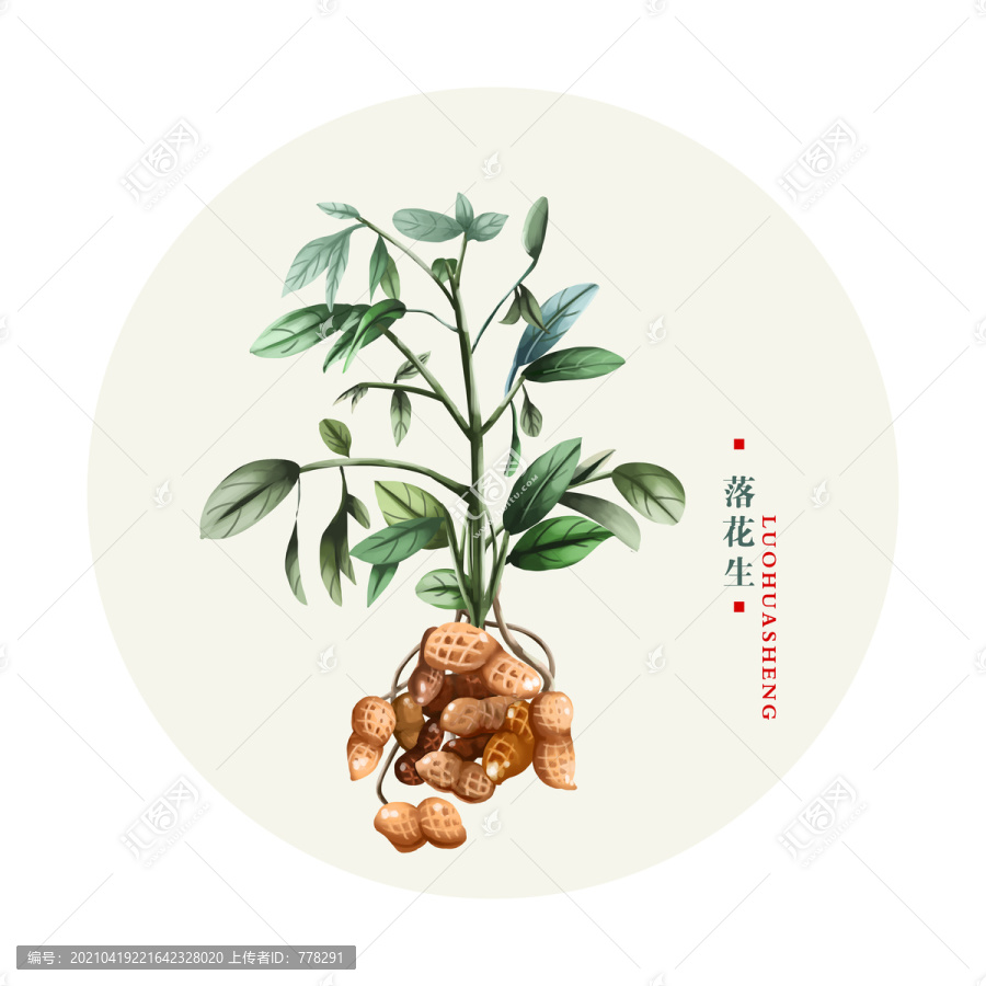 落花生