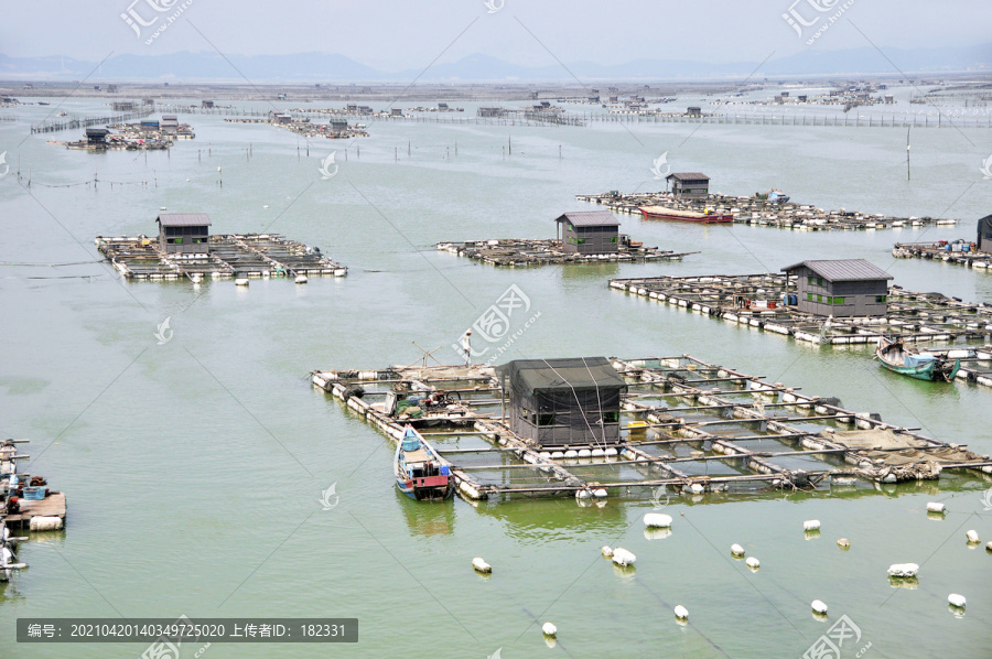 海上牧场