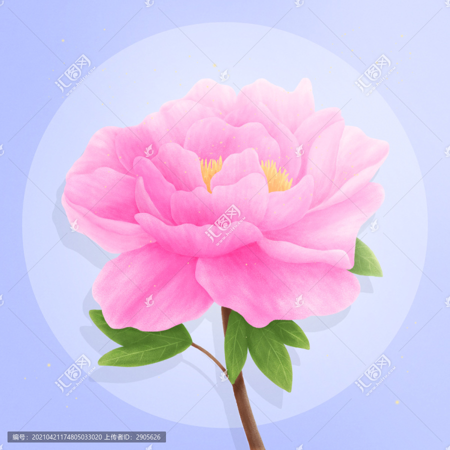 花好月圓之牡丹花分層插畫