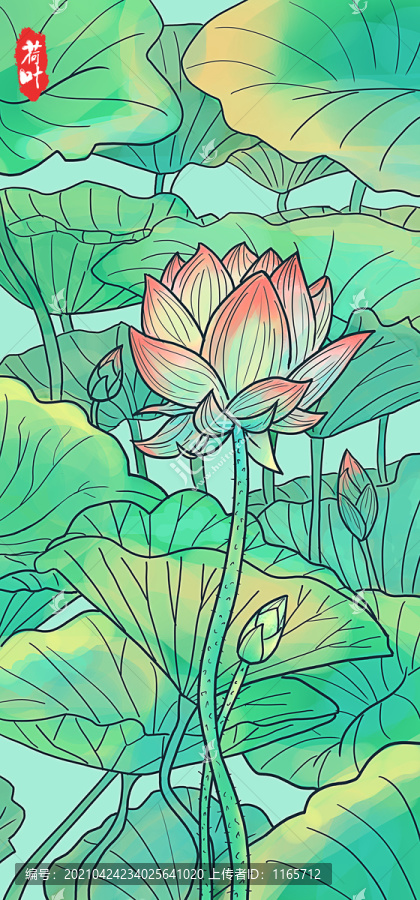 荷花