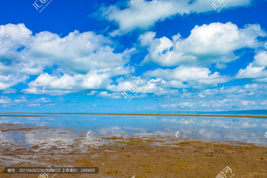 青海沙島