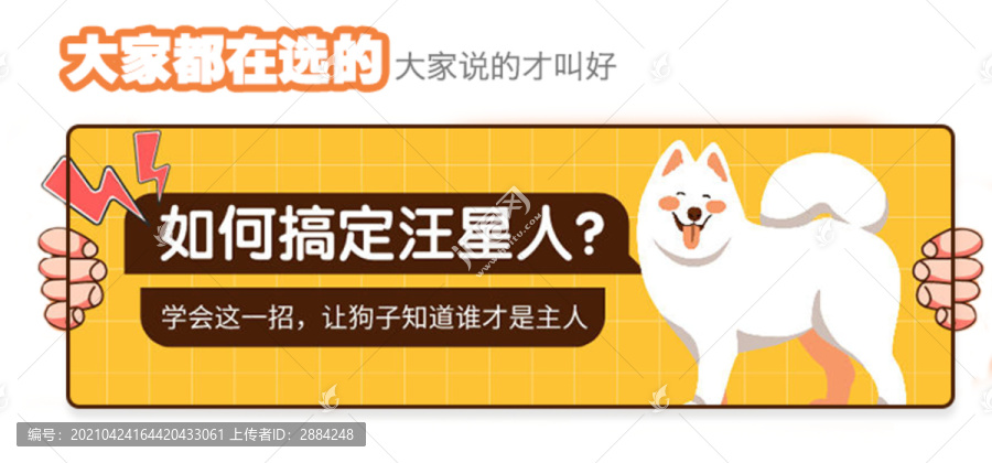寵物活動banner