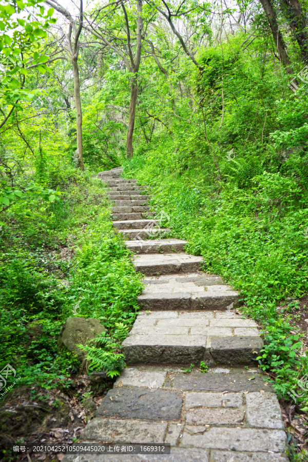 山间小路