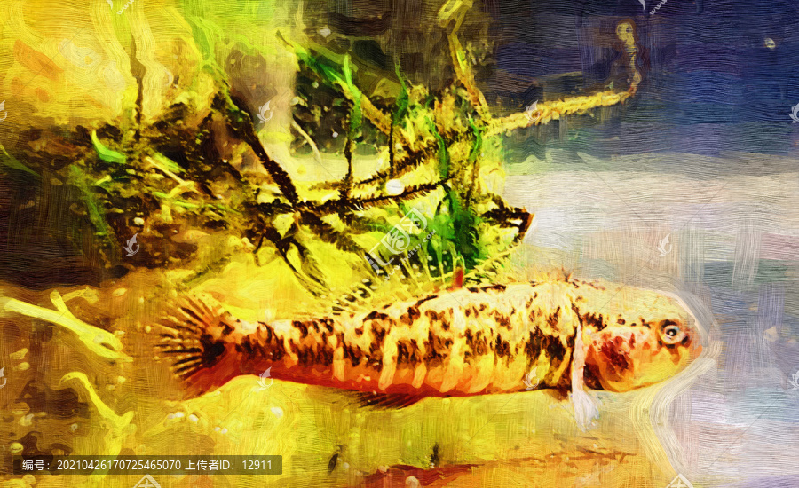 魚裝飾畫