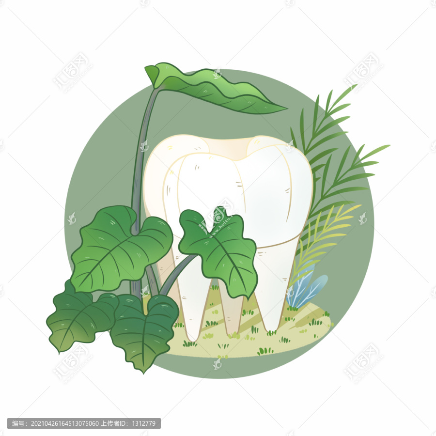 种植牙齿治疗牙齿植物元素