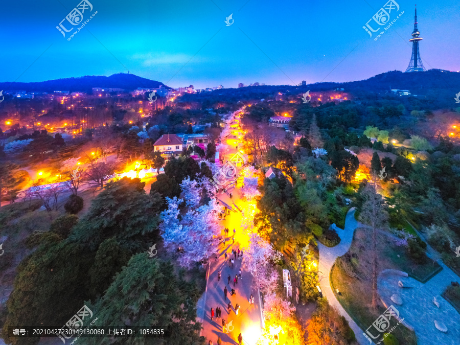 青岛中山公园夜景