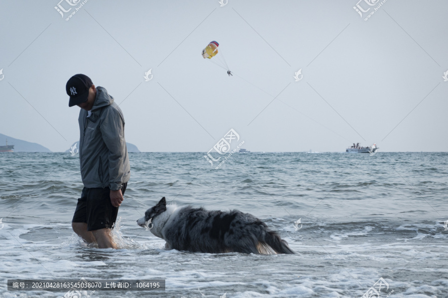男人牵着狗在海水中散步