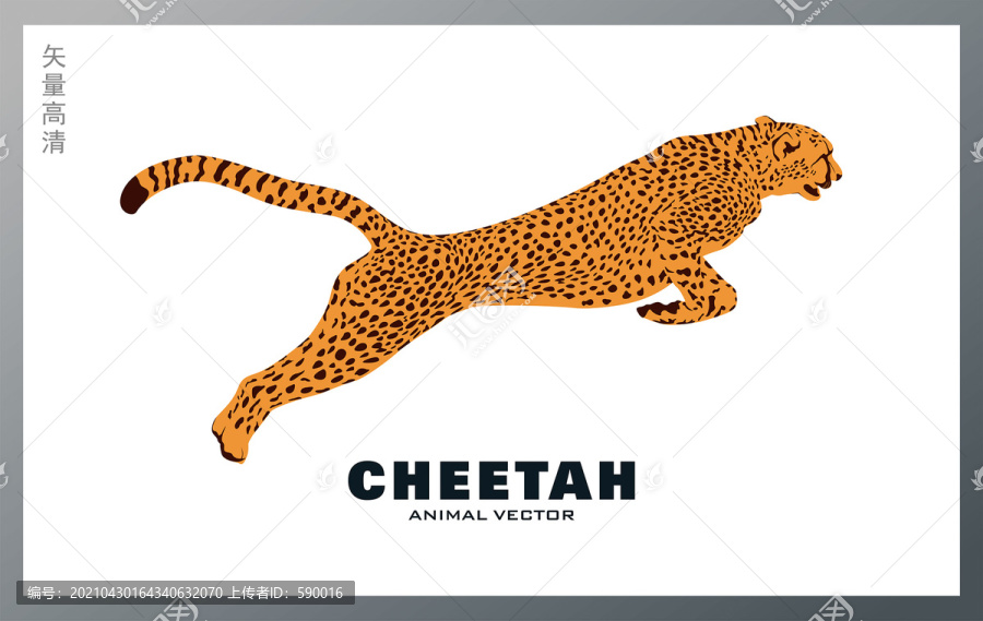 獵豹