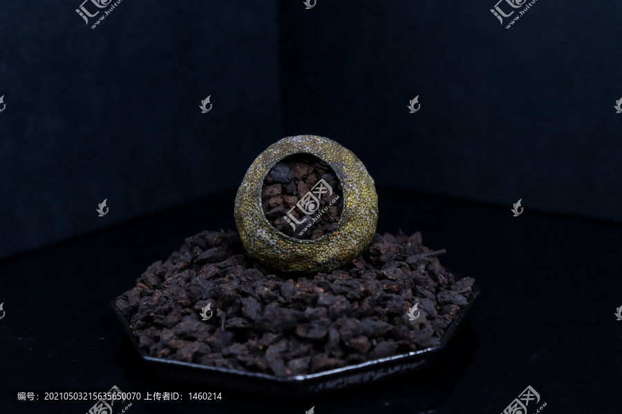 小青柑茶化石