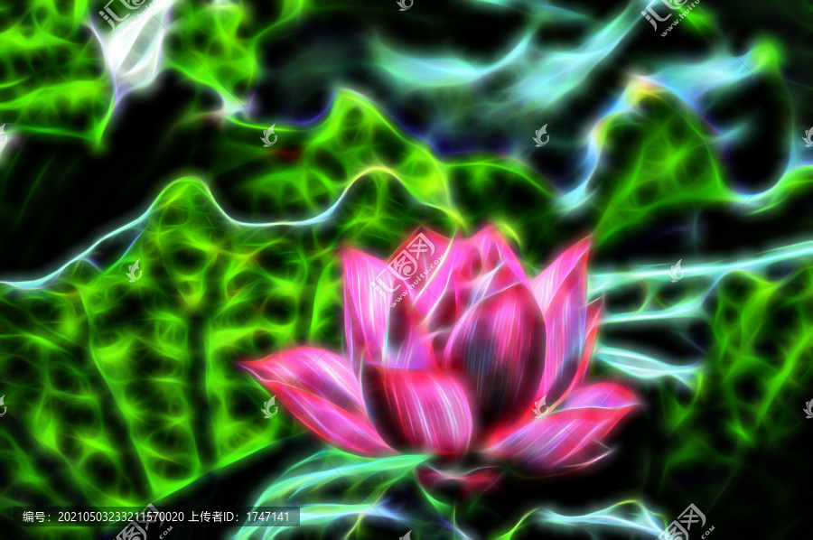 荷花裝飾畫(huà)