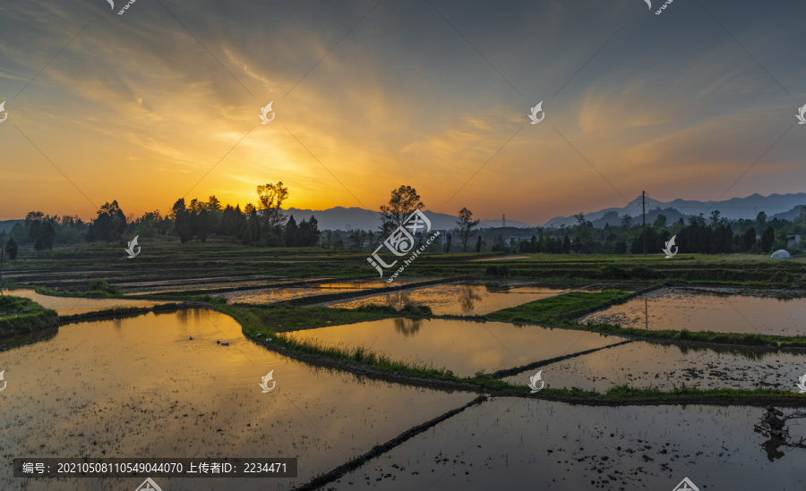 梯田朝霞