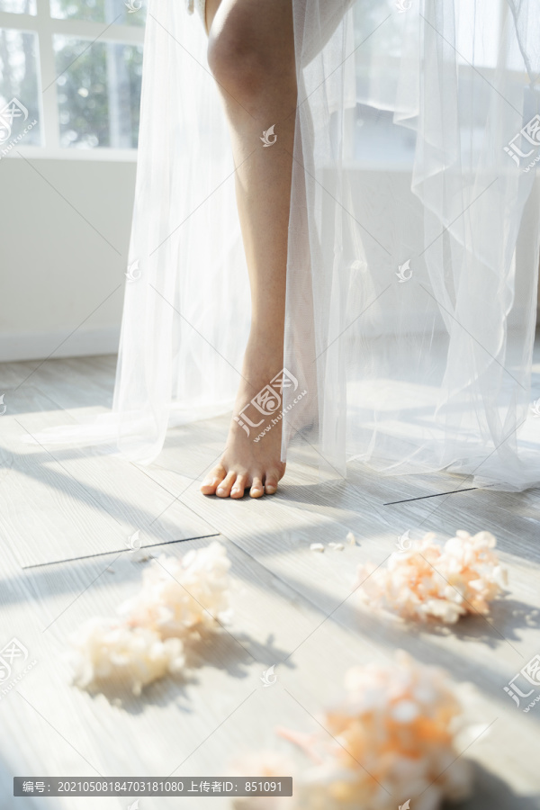 剪下的新娘的衣襟，戴着白色的面纱，站在阳光透过窗户照射下的花朵中间。