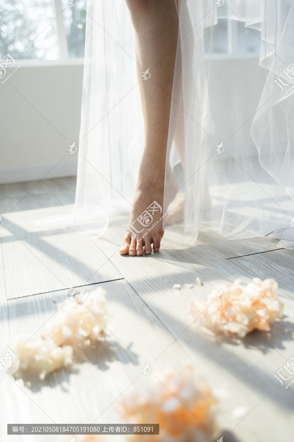 剪下的新娘的衣襟，戴着白色的面纱，站在阳光透过窗户照射下的花朵中间。