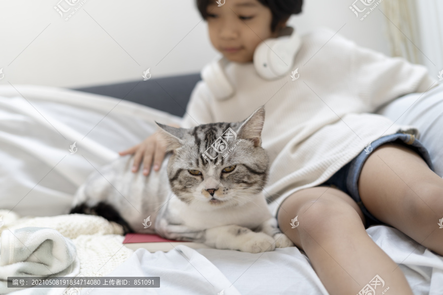绒毛猫坐在沙发上的小男孩旁边。动物和人类之间的联系。小男孩，一只猫。