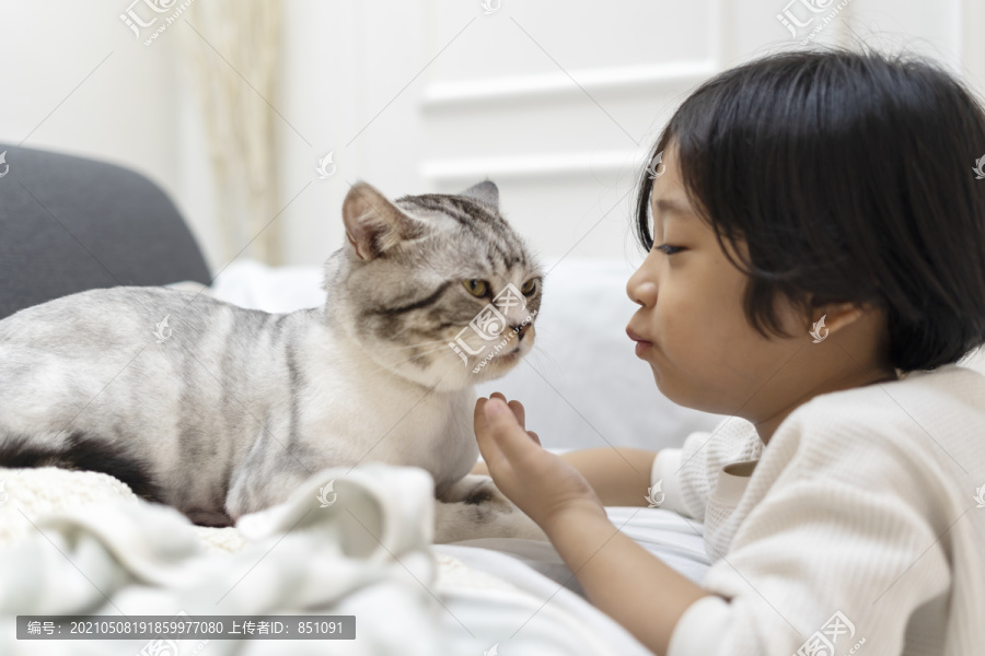 亚洲可爱的小男孩在沙发上亲吻毛茸茸的猫。