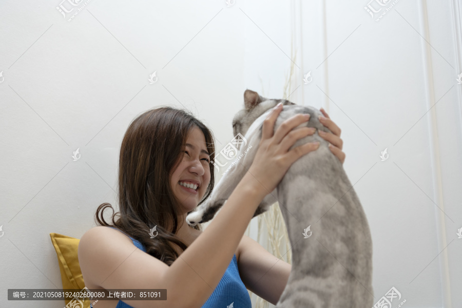 快乐微笑的亚洲女人举起猫。