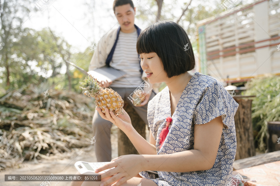 生态旅游-一对年轻的商人试图在网站上出售新鲜菠萝。水果网购业务。现代农民。