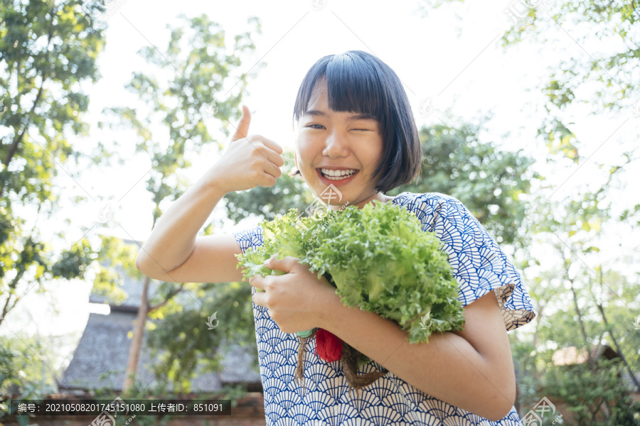 生态旅游-美丽的亚泰女子鲍勃发型手拿绿色新鲜蔬菜。蔬菜爱好者。健康食品。