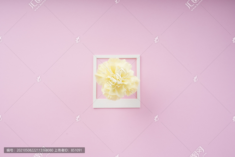 白色框架模型，粉色背景上有白色花朵。顶视图。