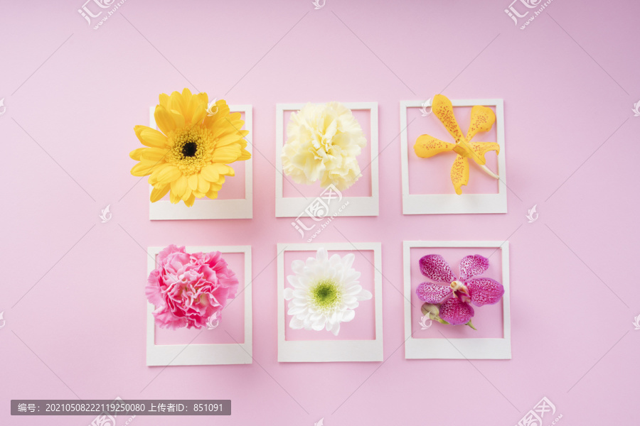 白色模型框架，粉色背景上有各种各样的花。顶视图。