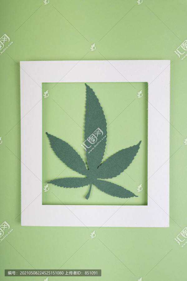 模拟白色框架和大麻大麻叶在浅绿色背景。复制空间。
